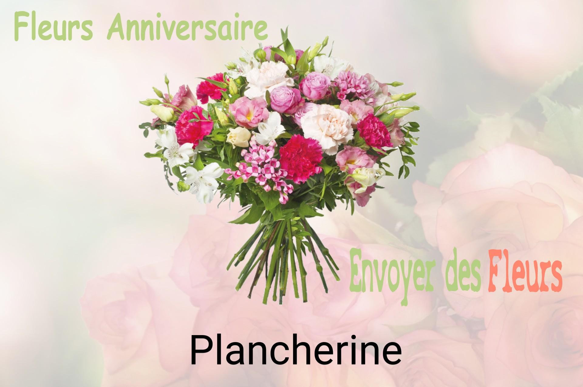 Bouquet de fleurs d’anniversaire livré à Plancherine