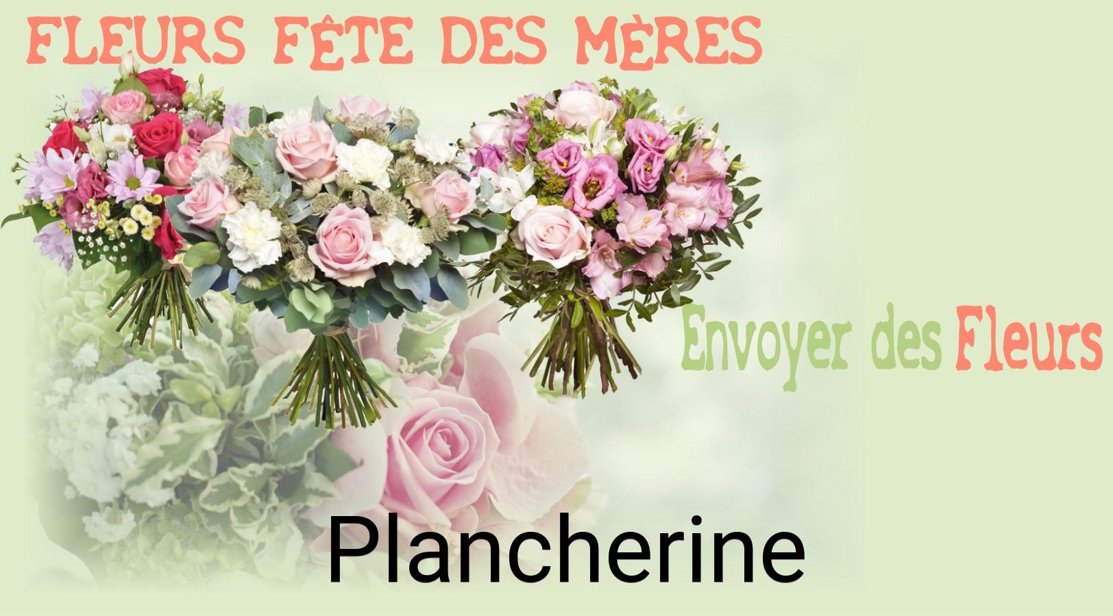 Bouquet de Fête des Mères livré à Plancherine